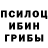 Галлюциногенные грибы Psilocybine cubensis Abdu Dhzh