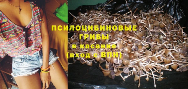 a pvp Новозыбков