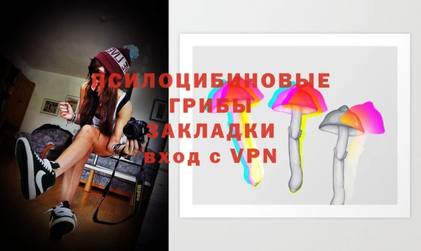 a pvp Новозыбков