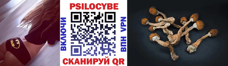 Псилоцибиновые грибы Cubensis  кракен онион  Клин 