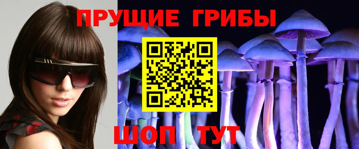 Псилоцибиновые грибы мухоморы Клин