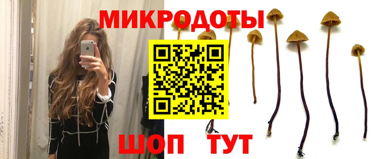 Клин  Галлюциногенные грибы Cubensis  Вход с VPN 